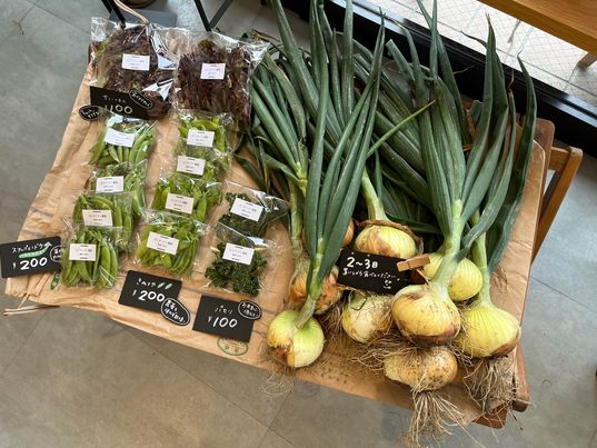 おにぎりマン農園のお野菜を販売中です！　～寝屋川　お米屋さん～